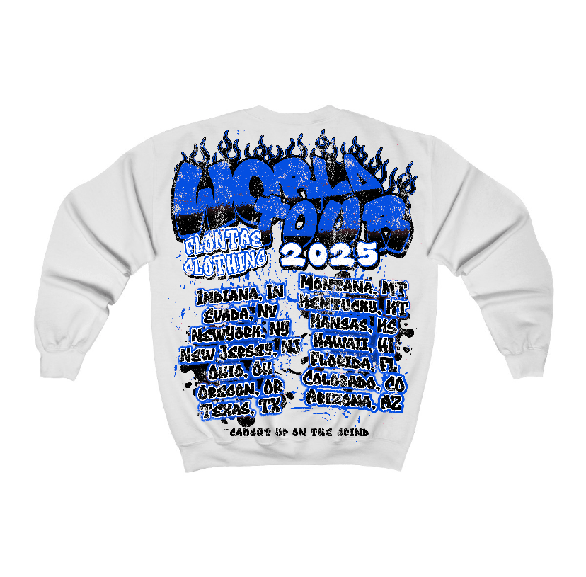 Blueberry 12s Flontae Sweatshirt Intelligence Graphic