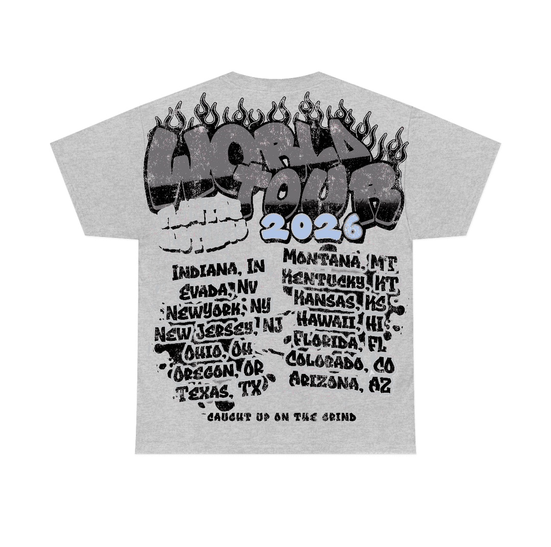 Wolf Grey 5s Flontae T-Shirt Intelligence Graphic